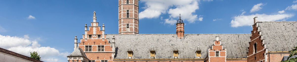3_gebouw_-c-museumhofvanbusleyden_foto_sophienuytten.jpg