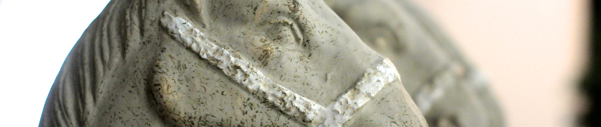 3-paardekes_folder1.jpg